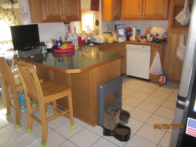 Ramona's House Pics5